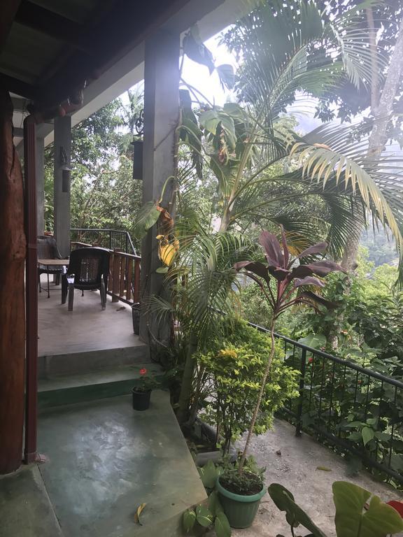 Raveena Guest House Ella Exterior photo